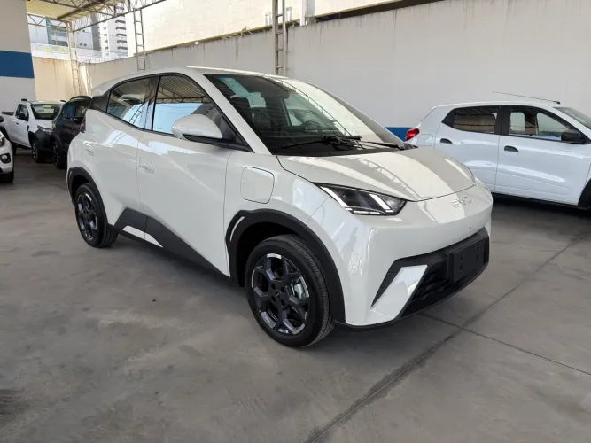 BYD Dolphin Mini (Elétrico) 2027