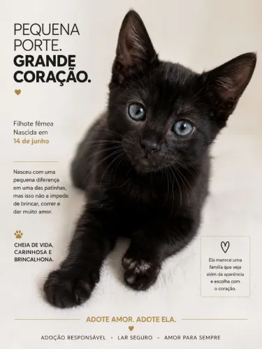 Filhotinhal para adoção responsável