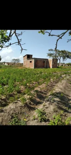 Terreno medindo 1500m2 com uma casa toda de lage