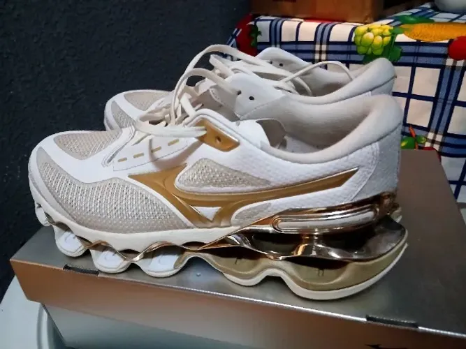 Mizuno prophecy 15
