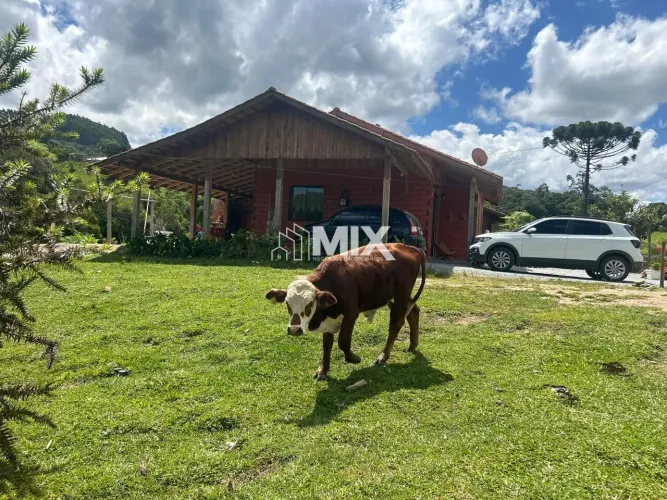 Sítio à venda em São Bonifácio/SC