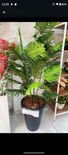 Plantas artificiais