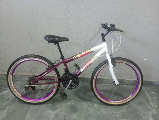 Bicicleta aro