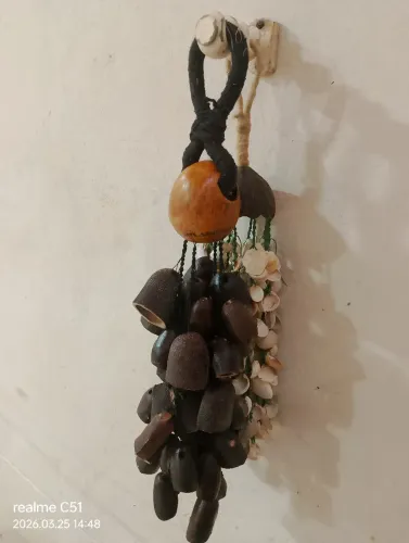Instrumentos conchas e jatobá 
