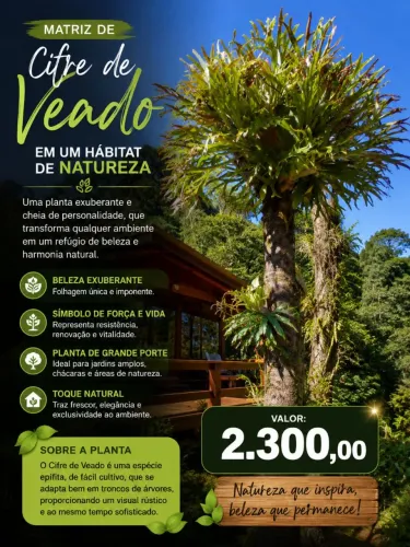 CHIFRE D" VEADO ENORME (MATRIZ) CHAMA NO SAP *