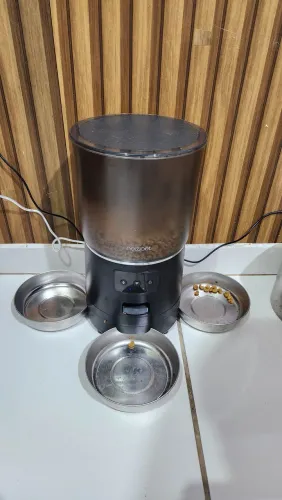 Comedouro automático new pet