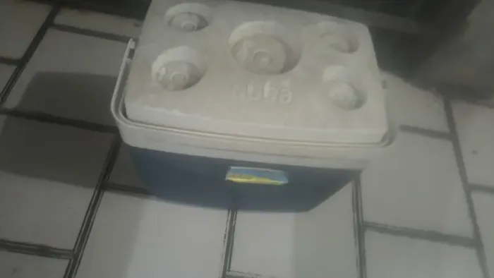 cooler