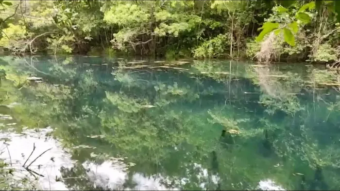 Terreno com muito água 700 mil