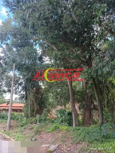 Área industrial 46.000 m² a venda, Agua Chata.