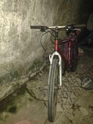Bicicleta