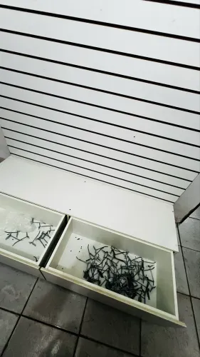 PAINEL EXPOSITOR MDF