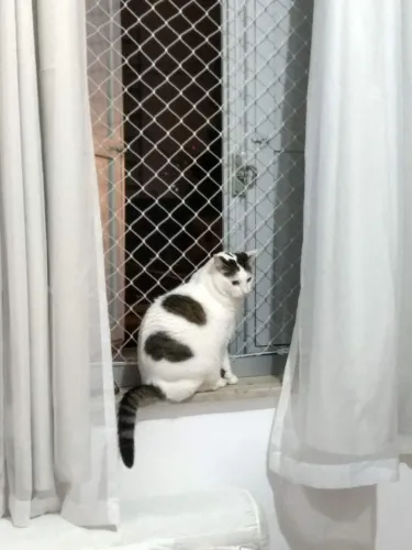 Moldura de alumínio com rede de proteção para gatos ou crianças 