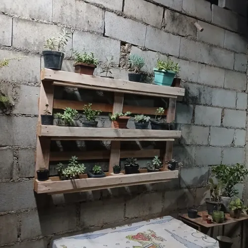 Suporte de plantas de pallets