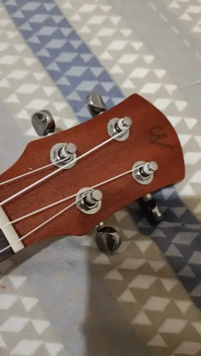 Ukulele Winner Concert