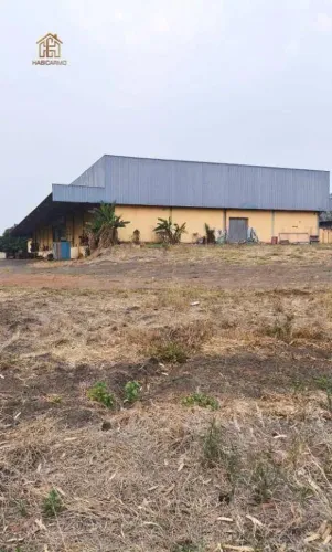 Barracão à venda, 2000 m² por R$ 4.800.000,00 - Centro - Cedral/SP