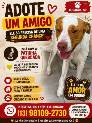 Adoção responsável!!