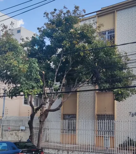Oportunidade: grade e portões