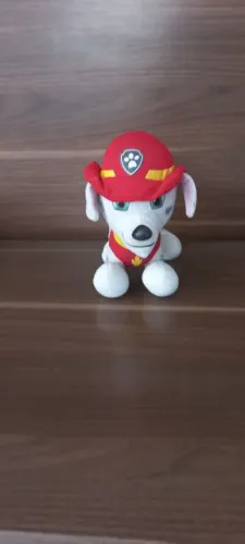 Cão da patrulha canina