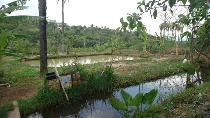 Terreno 13.000 m², agua nos fundos, poço de peixe, fogão a lenha, terra ideal pra plantio
