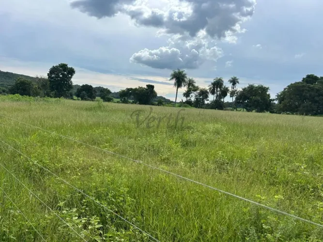 Sítio de 50 Hectares à Venda, Rio Verde de Mato Grosso - MS
