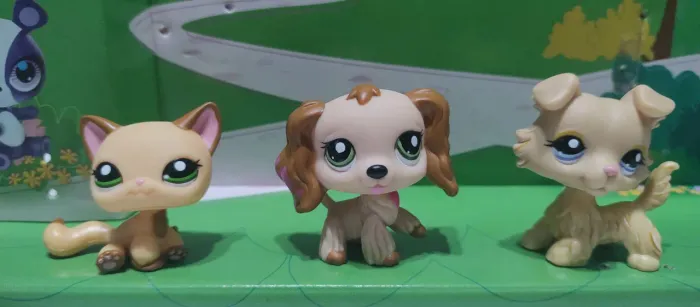 Little pets shop