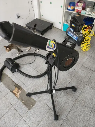 Secador profissional para pet shop Graça pet silencioso
