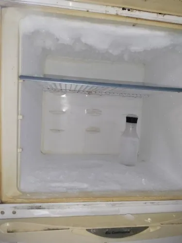 Freezer duplex 