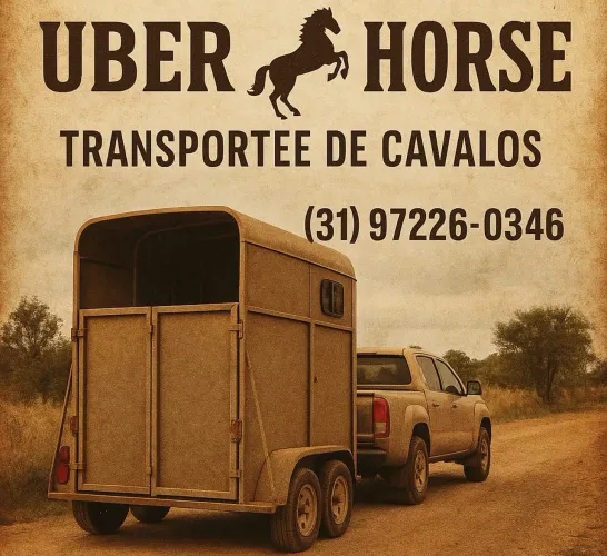 FRETE PARA CAVALO - BH E TODO BRASIL! 