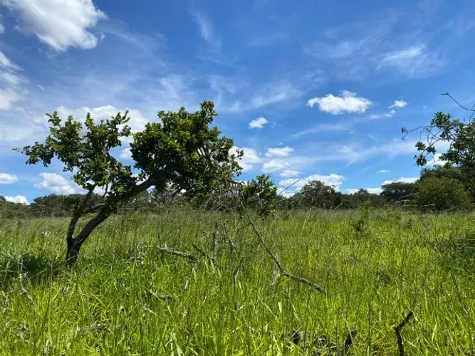Chácara 20.000m², toda área terra de cultivo, excelente topografia, agua, Jaboticatubas.
