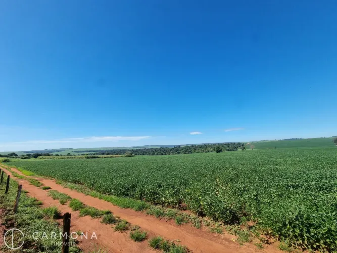 Fazenda de Dupla aptidão a venda em Presidente Castelo Branco/PR