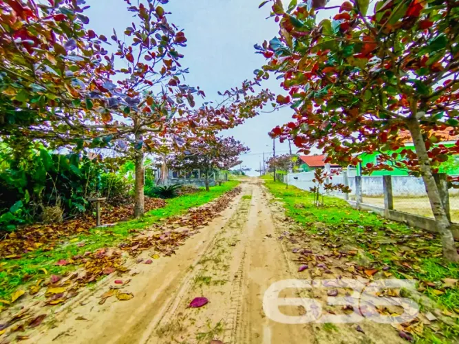Terreno | São Francisco do Sul | Ervino