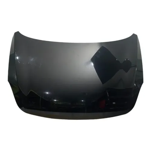 Capo Hyundai Vera Cruz 3.8 V6 2009