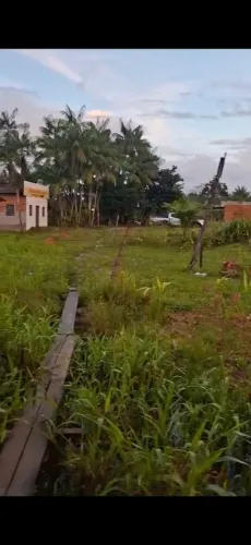 Vendo terreno