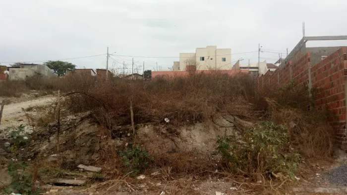 Ótimo Terreno no Alto Branco