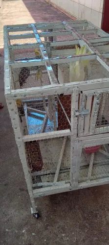 Vende se um viveiro com quatro copstalisra