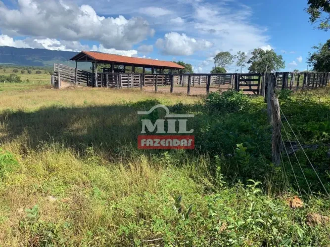 Fazenda 828 alqueires ( 4.007 hectares ) Paranã-TO