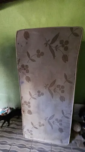 Cama