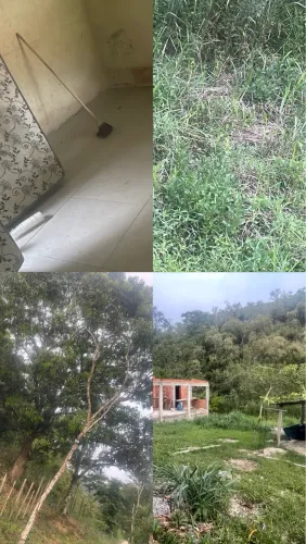 Vendo mini sítio