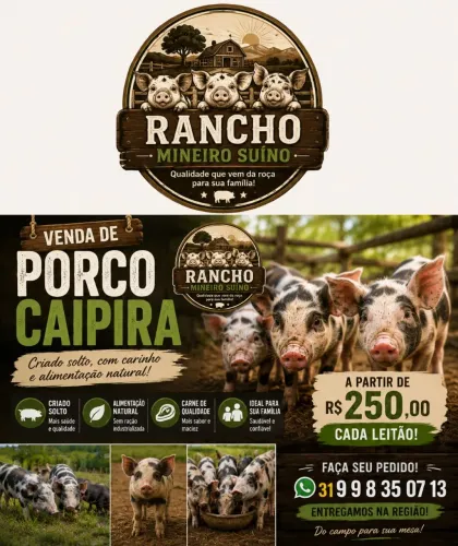Vendas de leilão caipira