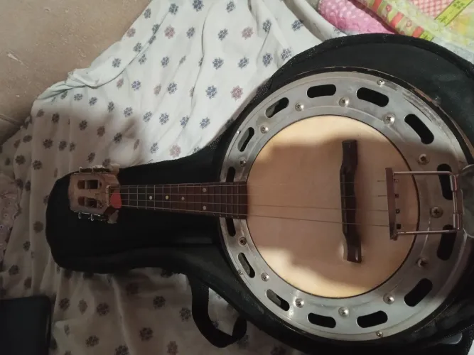 Vendo banjo semi novo elétrico 