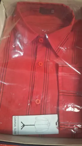 Camisas masculina