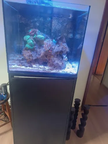 Aquario Marinho completo Montado a 3 anos Cubo 45X45X50cm Hydra 26HD Aquaillumination AI
