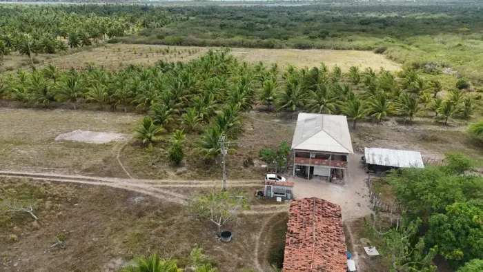 fazenda com 68 hectares em sao Miguel do Gostoso uma propriedade