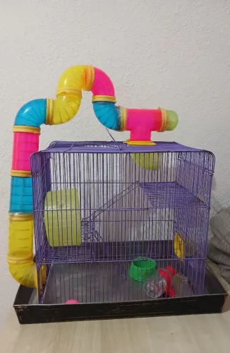 Gaiola pra hambester