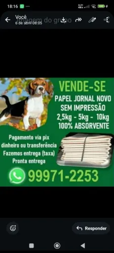 Vende se papel jornal novo pra xixi ?pet