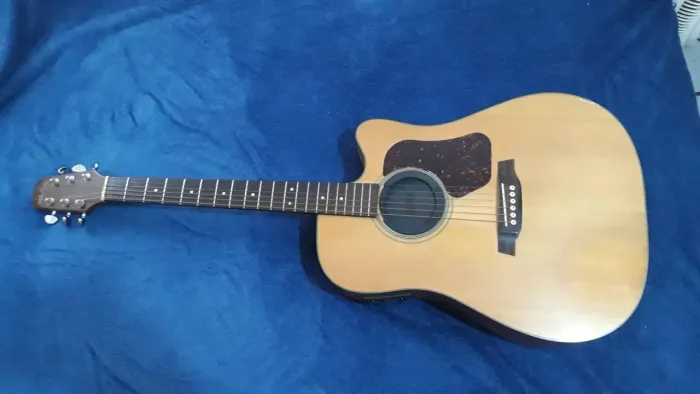 Violão elétrico walden d550ce *analiso troca*