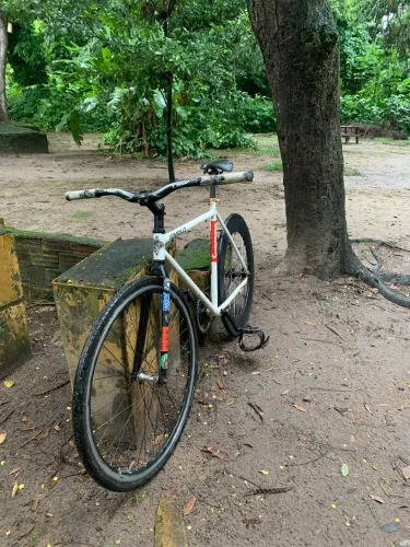 Bike Fixa Sunburst