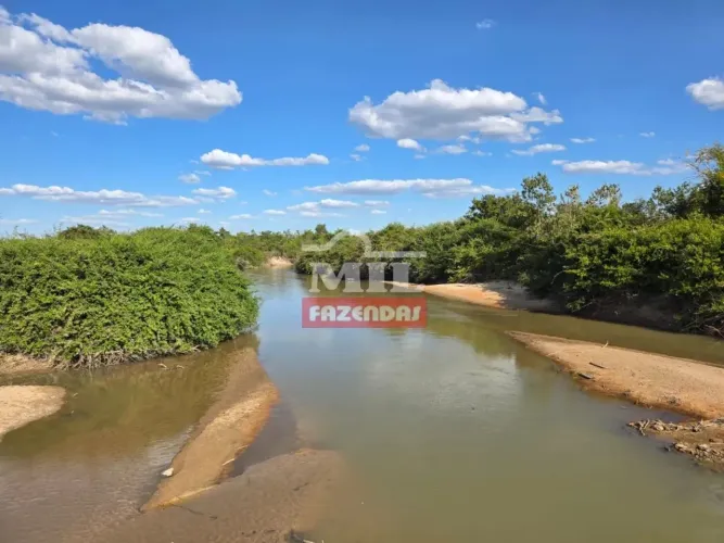Fazenda 68 Alqueires (329 Hectares) Santana Araguaia - PA