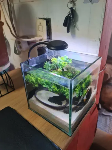 Aquario 20x20x20