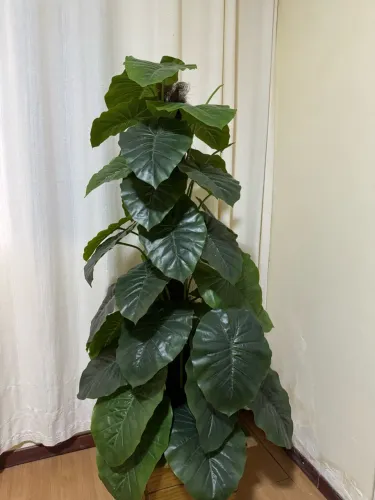 Vende-se Planta artificial 